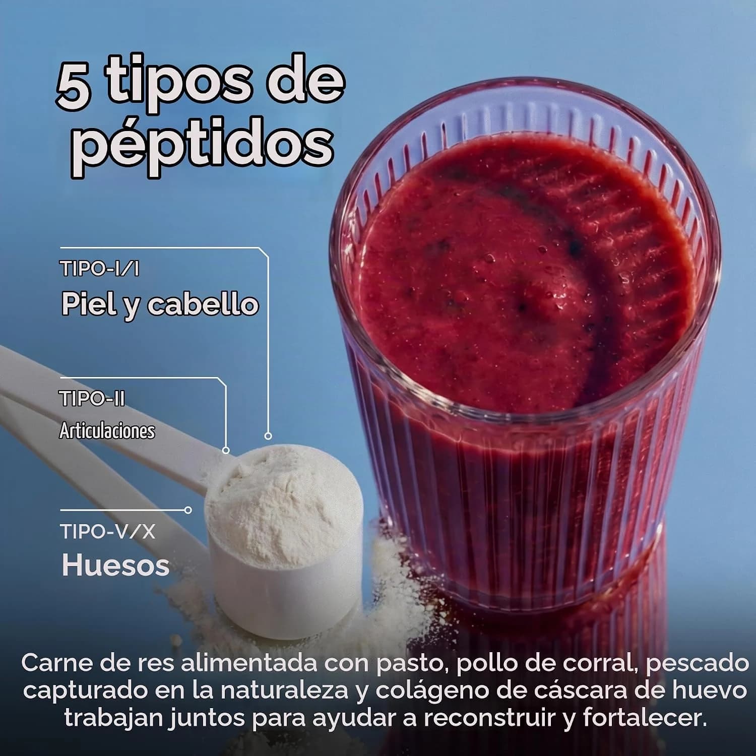 Información sobre tipos de colágeno